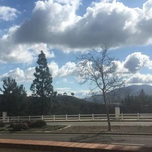 Meet your Posher, Carmen